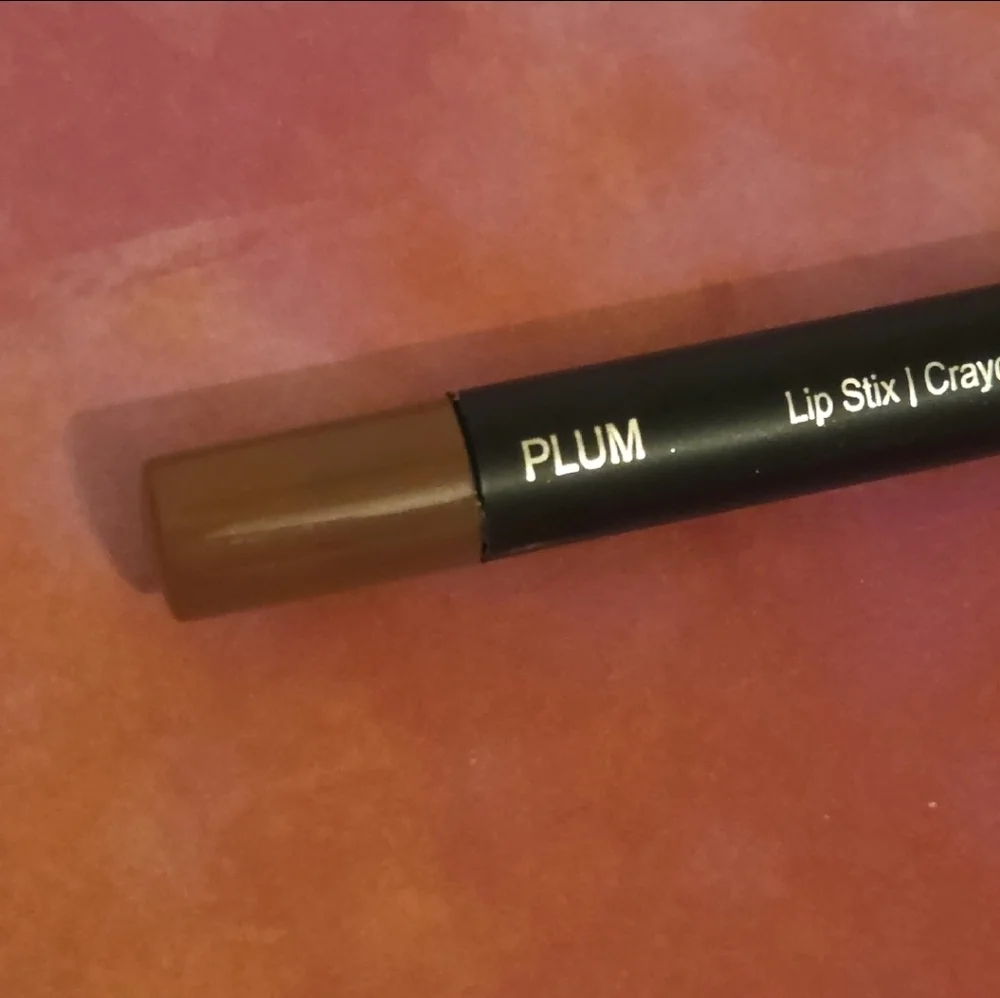 5/$25 PLUM 💜 Laritzy Cosmetics Lip Stix Buildable Crayon Lipstick